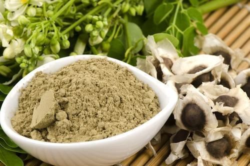 Moringa Oleifera Bark Dry Extract