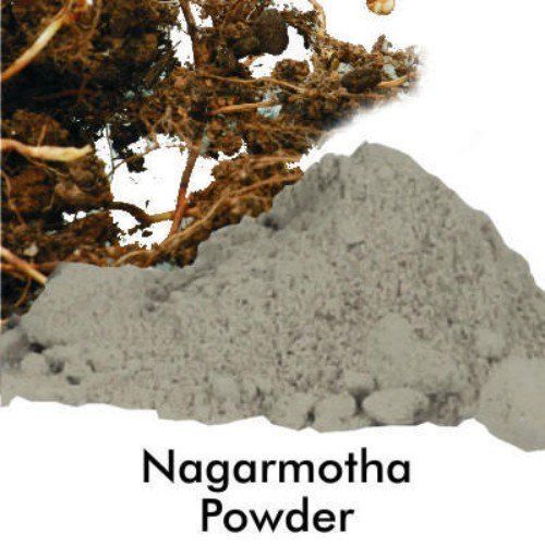 Nagarmotha Dry Extract