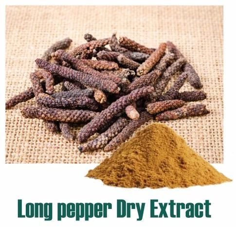 Pippali Dry Extract