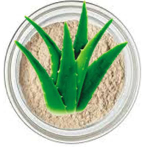 Spray Dried Aloevera Gel Powder 200x, Packaging Type : BOX