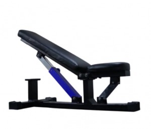 Polished Metal Multi Adjustable Bench, for Gym, Feature : Fine Finishing, Premium Quality