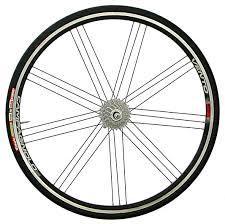 bicycle wheel rims