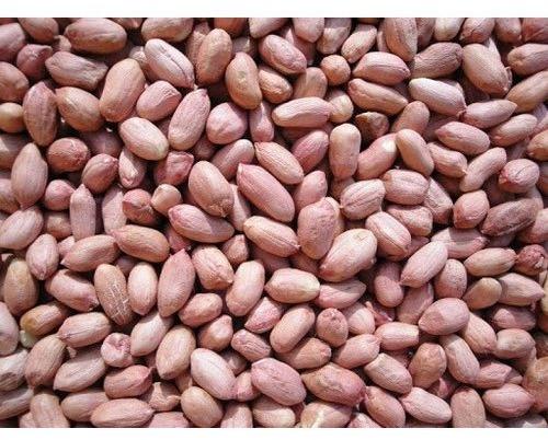 Natural Organic Raw Peanut Kernels, Color : Brownish