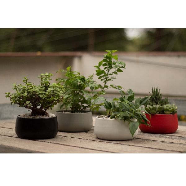 NEW DISH SHAPED SET OF FOUR IRON POT PLANTER FOR HOME AND OFFICE DECORATION TABLE TOP PLANTER