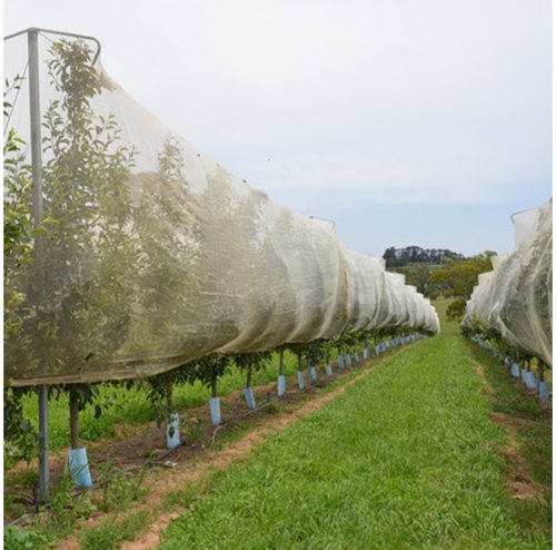 HDPE Insect Nets