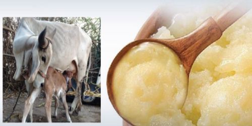 Cow Ghee, for Cooking, Worship, Feature : Good Quality, Healthy, Nutritious