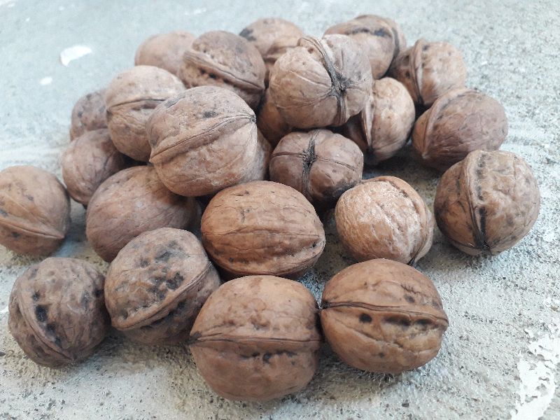 Walnuts, for Food, Feature : Rich In Protein