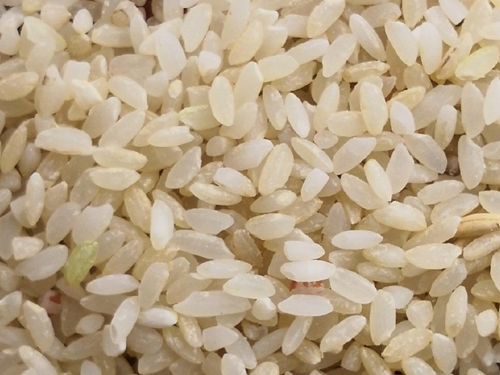 deccan jeera samba rice