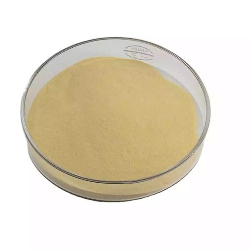 Dextranase Enzyme Powder, Packaging Type : Packet