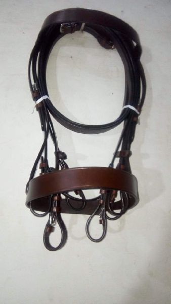 Horse Polo Bridle
