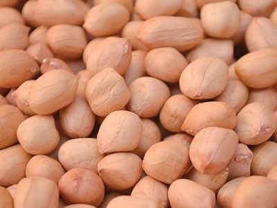 Java peanuts, Shelf Life : 1Year