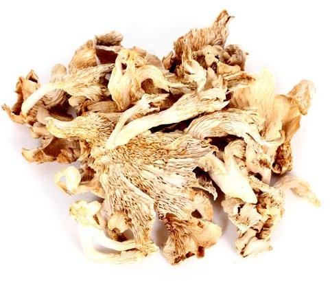dried oyster mushroom