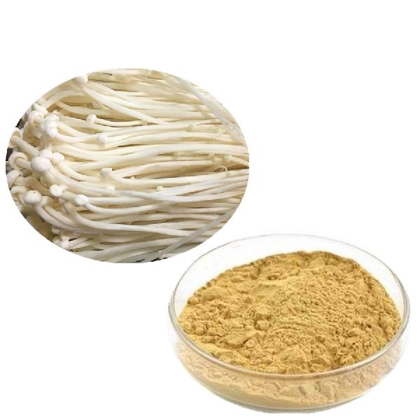 Enoki Mushroom Powder, Packaging Type Vaccum Pack at best price INR 2,000INR 3,500 / Kilogram