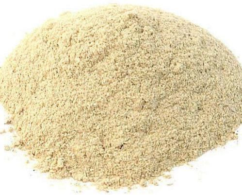 Pleurotus Florida Mushroom Powder