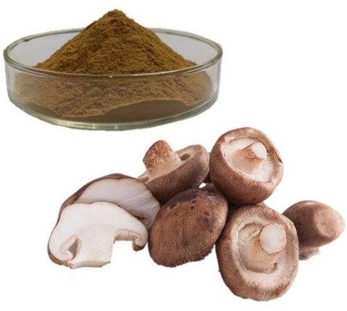 Shiitake Mushroom Powder, Packaging Type : Vaccum Pack