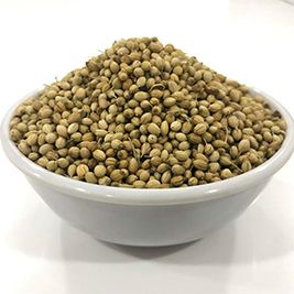 Coriander seeds, Grade Standard : Food Grade