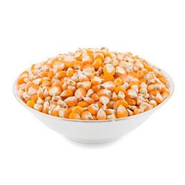 Yellow Corn Seeds