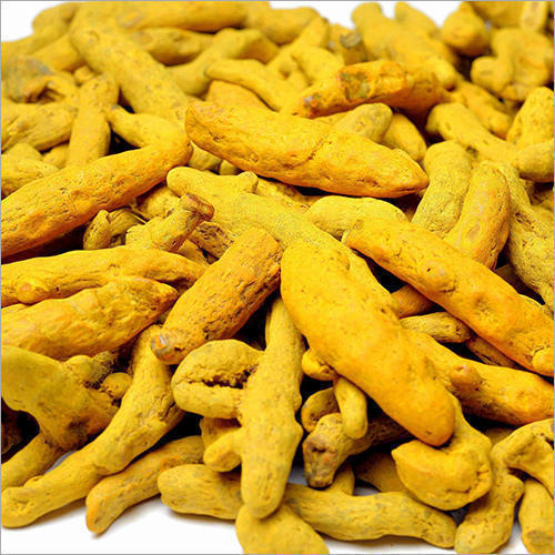 Polished Natural turmeric finger, for Cooking, Spices, Packaging Type : Plastic Pouch, Plastic Packet