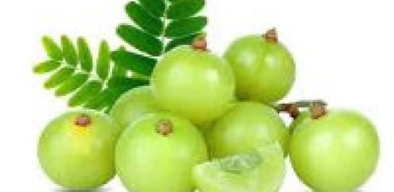 Common Amla Powder, for Cooking, Hair Oil, Medicine, Murabba, Skin Products, Certification : FSSAI Certified