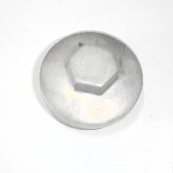 TVS Inspection Hole Cap