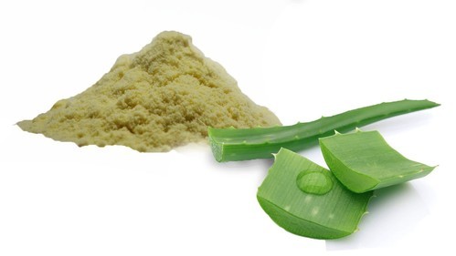 Aloe Vera Leaf Powder, Packaging Type : Plastic Packet
