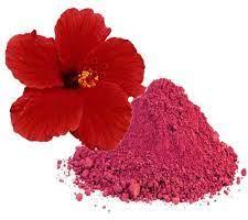 Hibiscus Powder, Packaging Size : 10-20 Kg