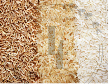 White Basmati Rice Processing