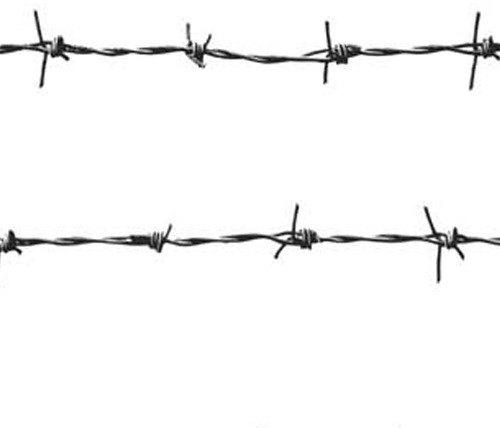 GI Barbed Wire, for Cages, Length : 60
