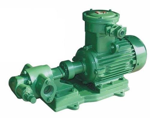 Oil Transfer Rotary Gear Pump