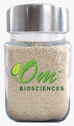 Om Biosciences Detergent Enzyme Granules