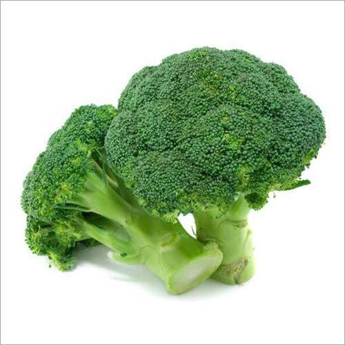 Green Broccoli, Certification : BRC, Global Gap, Apeda, IEC, ISO 9001 2015, FSSAI