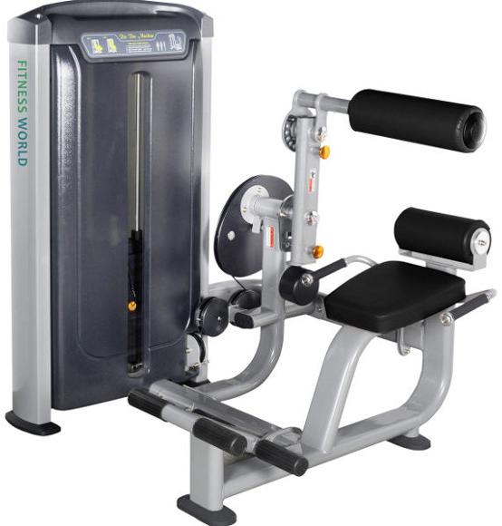 BACK EXTENSION MACHINE