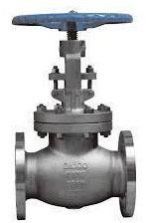 Globe Valve