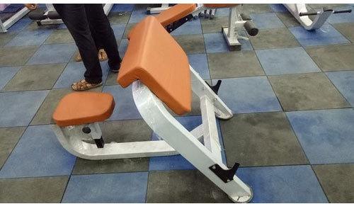 Preacher Curl Bench