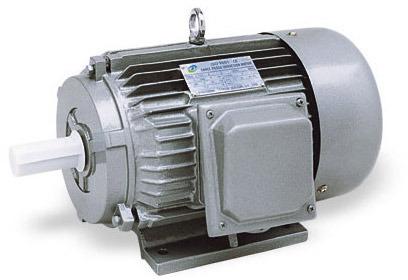 AC Three Phase Induction Motor