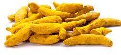 Natural turmeric finger, for Cooking, Spices, Food Medicine, Cosmetics, Packaging Type : Plastic Pouch