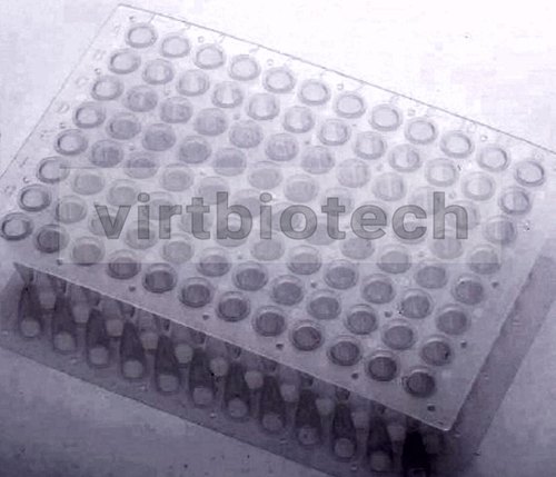 PCR Plate, Capacity : 96 well x 0.1ml