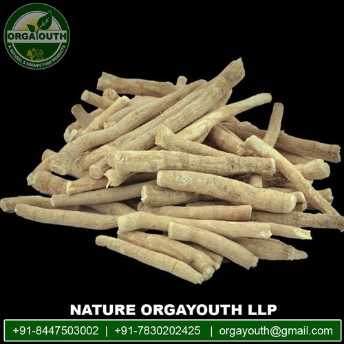 Organic Dried Shatavari Root, Packaging Size : 25 Kg