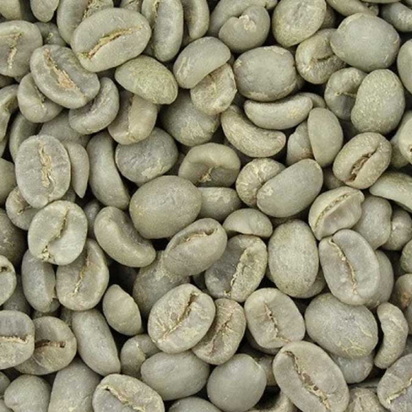 Organic Arabica Coffee Beans, Color : Green