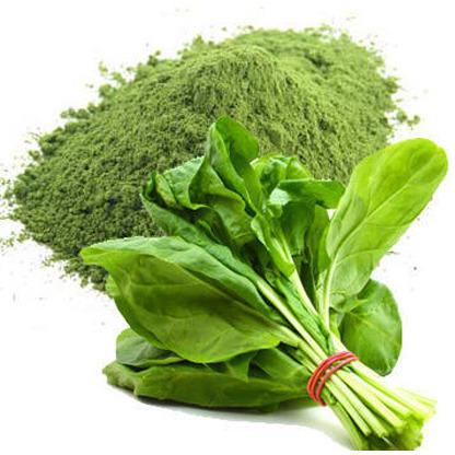 Jain Foods Spray Dried Spinach Powder, Packaging Type : Loose, Plastic Packet, Plastic Pouch