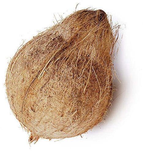 Organic Dehusked Coconut, for Good Taste, Packaging Type : Gunny Bags, Jute Bags, Plastic Sack