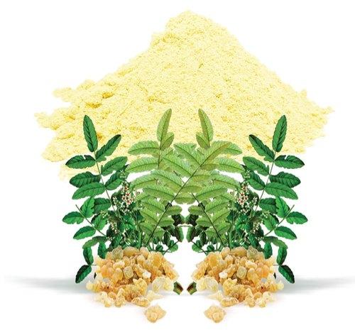 Organic Boswellia Extract, for Medicinal, Food Additives, Beauty, Packaging Size : 20-25kg