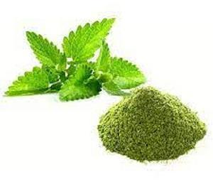 Organic Holy Basil (Tulsi) Extract, for Culinary, In Food, Medicinal, Style : Fresh, Preserved