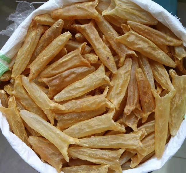 Koral Fish Maw