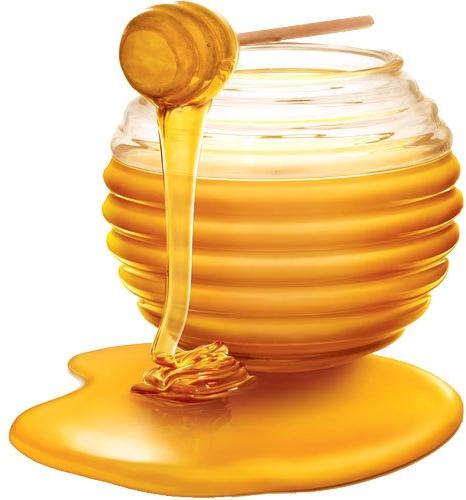 Stingless Bee Honey