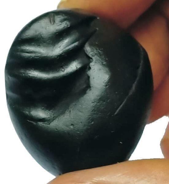 H0004-01 – Trimurthy  Shaligram Shila 1inch 26grams Remedy For Success and Progress In Life