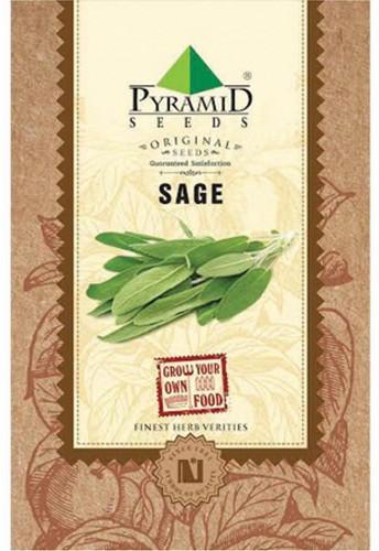 Pyramid Sage Seeds