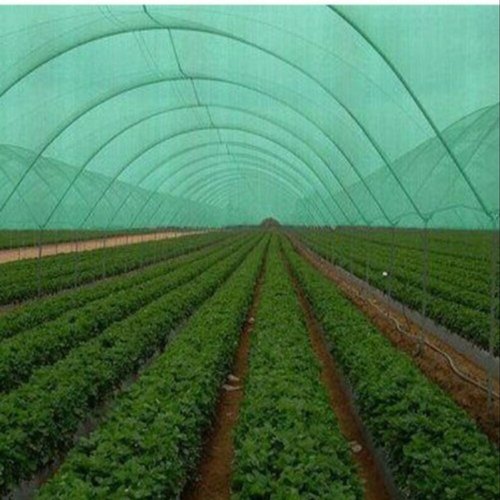 HDPE Plastic Outdoor Shade Net, Color : Green