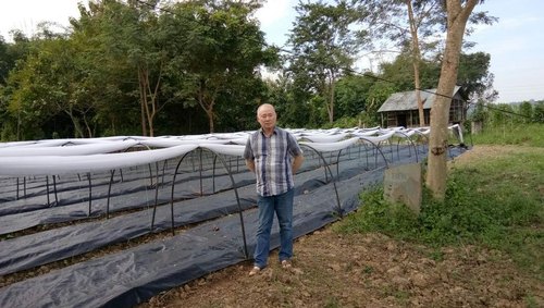 Agricultural Ground Crop Covers