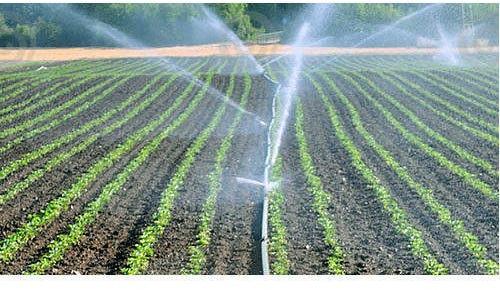 Sprinkler Irrigation System